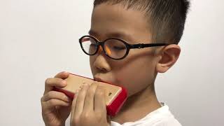 Hape Harmonica - Enjoy the play.