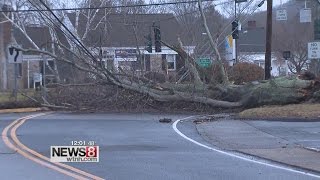 Storm leaves trees, power lines, and water on roads