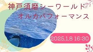 神戸須磨シーワールド　オルカパフォーマンス　2025.1.8 16:30