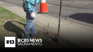 City of Manteca puts out traps to manage gopher activity