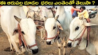 కుర్తిరావులు చెరువు  గోపాల్  గారి ఆరు పళ్ళ దూడలు 120000 ..గురువారం అయిజ సంత