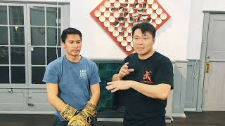 Use the 3rd section of wing Chun dummy move to apply wing Chun in sparring.