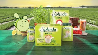 Sweet BEEginings - Splenda Stevia (:30)