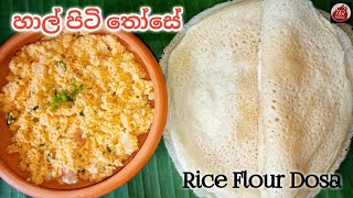 රැ කෑමට පෝෂණීය හාල්පිටි තෝසේ හදමු| hal piti those|rice flour dosa| Those recipe sinhala|Hot kitchen