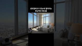 뉴욕에 있는 이것? (Central Park Town)