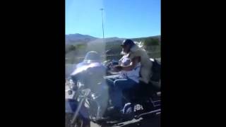 Harley Davidson Ultra Classic - riding 2 up with a large dog