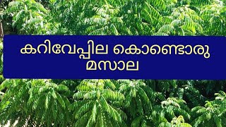 കറിവേപ്പില കൊണ്ടൊരു മസാല, CURRY LEAVES MASALA, എല്ലാ കറിയിലും ഉപോയോഗിക്കാം.