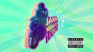 JANIN MONKEET - LK (OFFICIAL AUDIO)