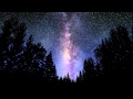 Phaeleh - Nocturne