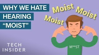 Science Of Why People Hate The Word 'Moist'