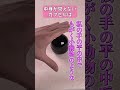 ガチャガチャあるある～ガチ勢編～ shorts ガチャガチャ ガチャ丸