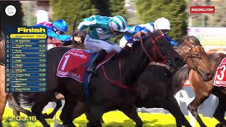 【2024 富衛保險冠軍賽馬日 FWD Champions Day】揚威海外 - 浪漫勇士 / Overseas Success - Romantic Warrior