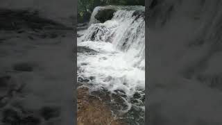 Hosur waterfall, Siddapur, Uttara kannada. #exploringuttarakannada