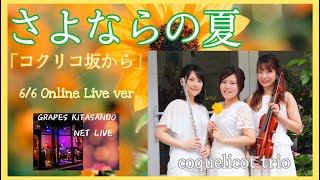 【Vn\u0026Fl\u0026Pf】さよならの夏【6/6Live映像】