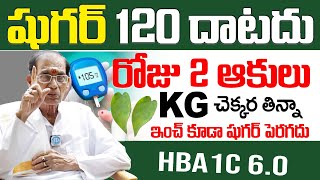 రోజు 2 ఆకులు తింటే 300 ఉన్న షుగర్ 150 దిగుతుంది | Diabetes, sugar thaggalante | Dr BA Venkata Swamy