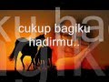 Cinta Putih - Katon Bagaskara "with lyric"