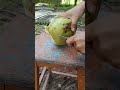 Unique Coconut Cutting 🌴🌴 | asmr #shorts #coconutcutting #coconut #asmr