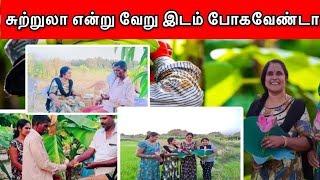 யமுனா அக்காவின் வழைத்தோட்டம்...💐💐💐//கிராமத்துப் பாடகி யாழினி//YALINI