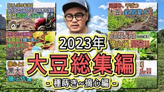 【2023年大豆総集編】種蒔き〜摘心編