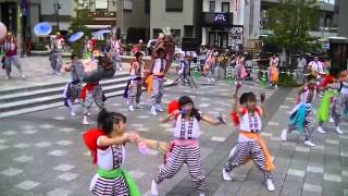 JR東　獅子団大和（31日）（バサラ祭り２０１４）