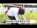 임금님표 이천쌀 올해 첫 수확…