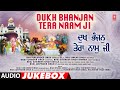 Dukh Bhanjan Tera Naam Ji | Shabad Gurbani Audio Collection | BHAI HARJINDER SINGH