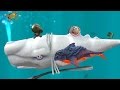 Hungry Shark Evolution Moby Dick Android Gameplay #22
