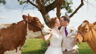 Wisconsin Barn Wedding with Cows! // Central Wisconsin Wedding in Marshfield WI // Brent + Allison