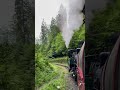 beautiful scenery in Switzerland train 🚂 #shortvideo#shorts#youtubeshorts#