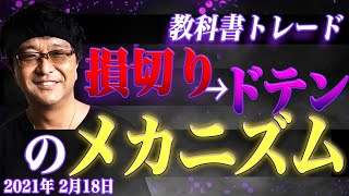 ［FX］久々のドテントレード！『損切り→ドテン』のメカニズムを詳細解説 2021年2月18日※欧州時間トレード