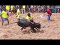 குமாரபாளையம் ஜல்லிக்கட்டு திருவிழா 2022 highlights kumarapalayam jallikattu 2022