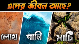 মাটি, পানি ও লোহা কি জীবিত? - কুরআন এর ব্যাখা