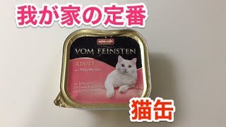 大好きな猫缶に大喜びの猫たち