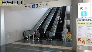 東京ビッグサイト（国際展示場）エスカレーター OTIS Escalator Tokyo bigsite Escalator