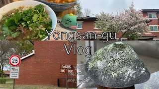 일상 VLOG | 서울 용산 이촌에서 서빙고까지 | 르번미 | 용산공원🌳| 미국갬성 | 어반플랜트 | 이색 여행 | Seoul