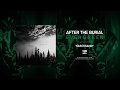 AFTER THE BURIAL - Quicksand