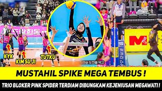 TRIO BLOKER PINK SPIDER TERDIAM😱KEJENIUSAN SPIKE MEGAWATI MAMPU TEMBUS BENTENG 6 TANGAN PEMAIN LAWAN