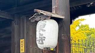 京都東寺To-ji Temple，Kyoto, Japan