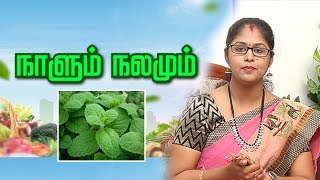 பசியை தூண்டும் 'புதினா'...| Pudhina Health Benefits |  நாளும் நலமும் 26/09/19