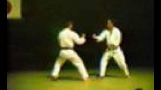 KARATE WADO KIHON KUMITE by Shihan Ishikawa 1984 和道流空手道 石川 基本 組手