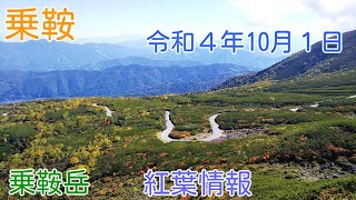 乗鞍岳－紅葉情報　見頃になった乗鞍岳の紅葉。富士見岳下の紅葉はピークですが、他の所は標高や風の通り道、日当たり状況により紅葉がより進んでいくと思われます。午前中の動画映像です。(2022.10.01)