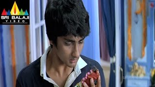 Nuvvostanante Nenoddantana Movie Siddharth Scene | Siddharth, Trisha | Sri Balaji Video