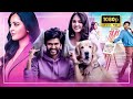 Anushka Shetty & Naveen Polishetty Latest Tamil Blockbuster Dubbed Full Movie || Latest Tamil Movies