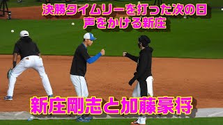 20230611【練習風景】新庄剛志と加藤豪将がグータッチ＆守備練習