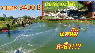 #ลงแหบ่อหารคนละ 3,400 ประกันปลาคนละ 100 โลมาลุ้นจะถึงหรือไม่!!?