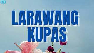 Jerome Abalos Larawang Kupas Lyrics