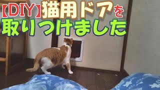 【DIY】猫用ドアを取りつけました～I installed a cat door