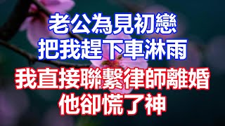 老公為見初戀，把我趕下車淋雨，我直接聯繫律師離婚，他卻慌了神