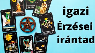 IGAZI ÈRZÈSEI IRÁNTAD❤️❤️❤️😘🌺🌺tarot szerelmi jóslás