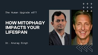How Postbiotics Upgrade Your Mitochondria with Dr. Anurag Singh